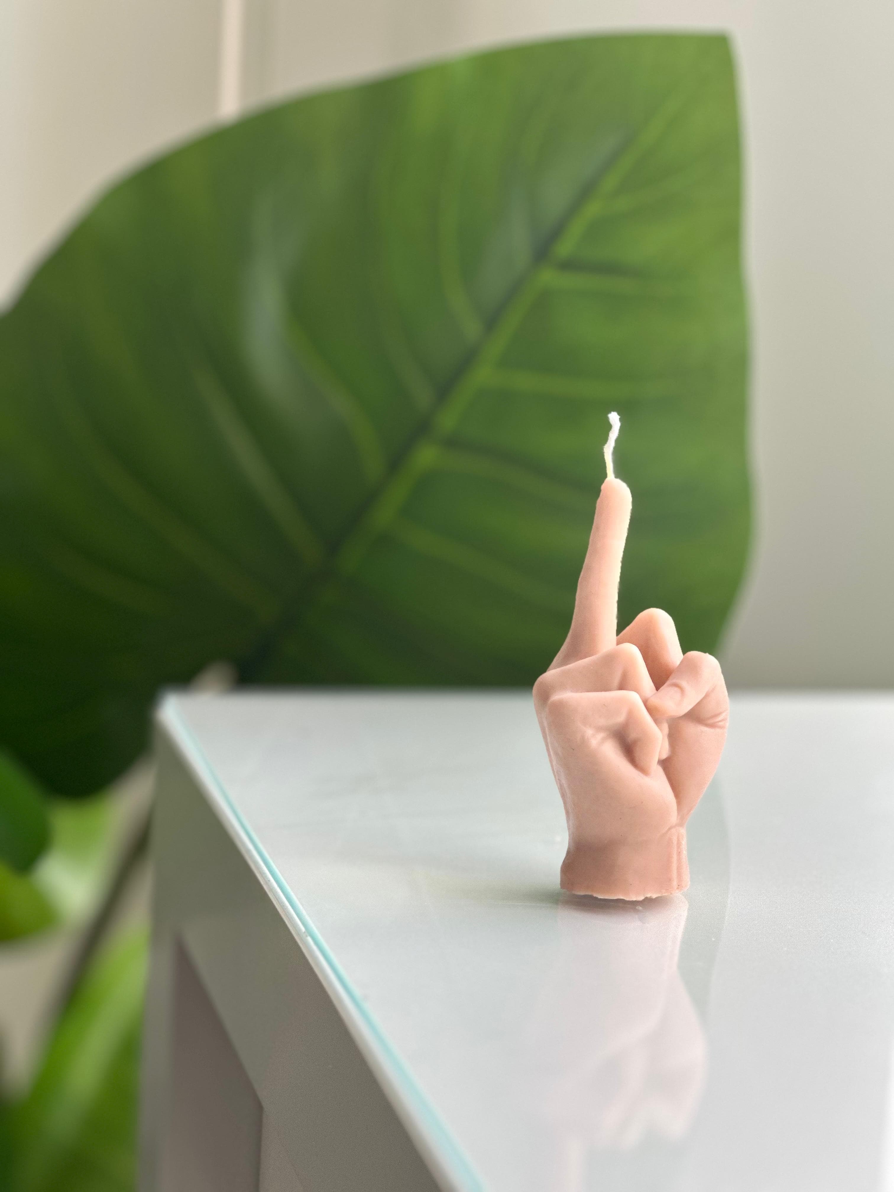 Hand view 1